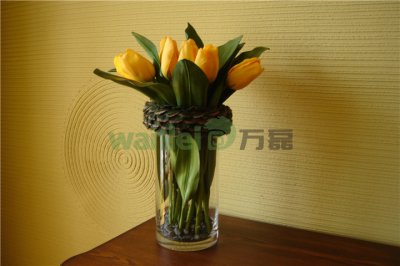 有了硅藻泥，新房入住不再等！