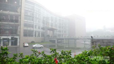 驚蟄過(guò)，春雨至，硅藻泥讓你告別濕轆轆
